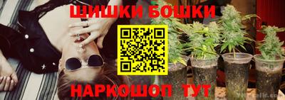 прущие крисы Гай