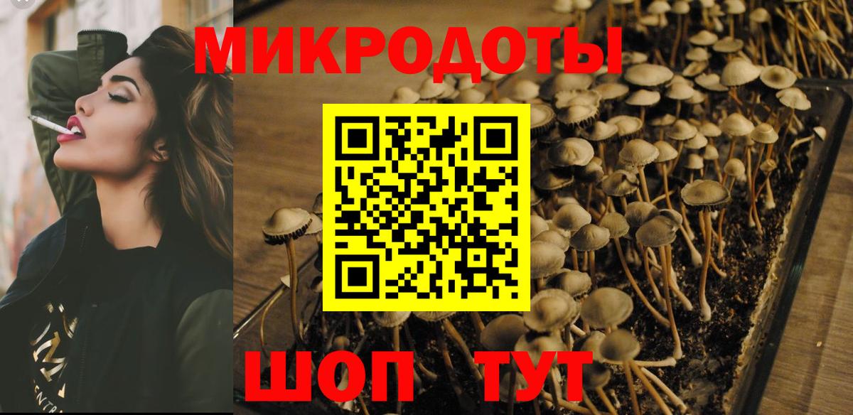 Псилоцибиновые грибы Psilocybe  как найти закладки  Мытищи  Вход с VPN  Псилоцибиновые грибы Magic Shrooms 